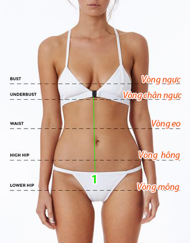 Cách lấy số đo các vòng cơ thể
